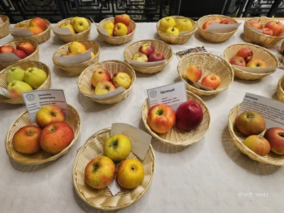Foto des Albums: Obstausstellung