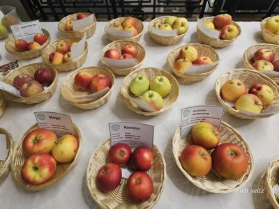 Foto des Albums: Obstausstellung