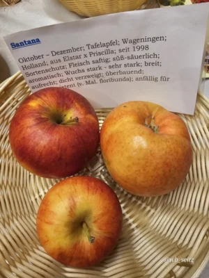 Foto des Albums: Obstausstellung