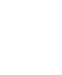 Icon Flinte