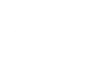 Icon Revolver