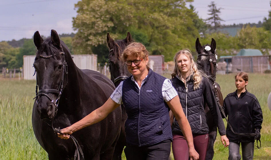 Reiten in Brielow