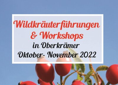 Wildkräuter-Workshop - Salben & Tinkturen