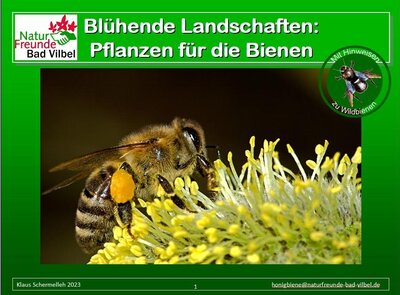 Blühende Landschaften - Bildervortrag in drei Teilen - Teil 3 „Bienenpflanzen für Garten, Terrasse und Balkon“