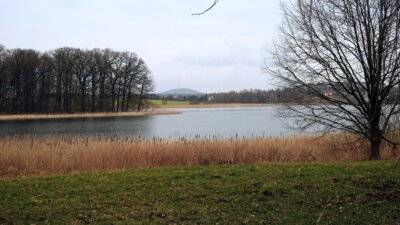 Horstsee