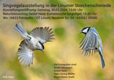 Veranstaltung: Singvogelausstellung in der Linumer Storchenschmiede