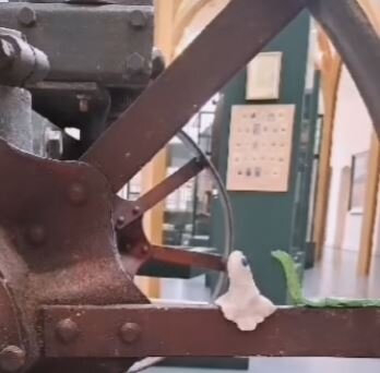 Blick in die Ausstellung mit Kuki und Schnecki, die beiden Stop-Motion-Figuren vom Niederlausitz-Museum.