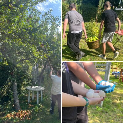 Gartenarbeit