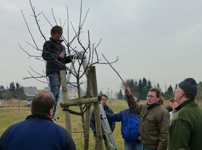 Baumschnittseminar mit Richard Voigt
