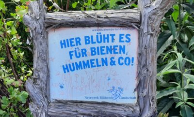 Foto zur Veranstaltung