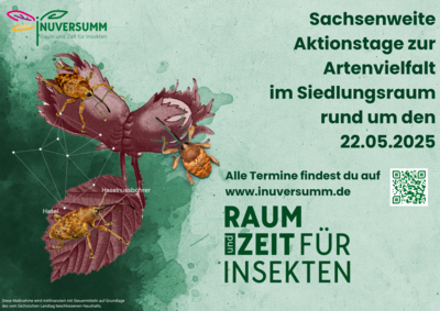 Foto zur Veranstaltung