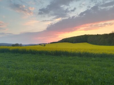Klänge wie Wolken