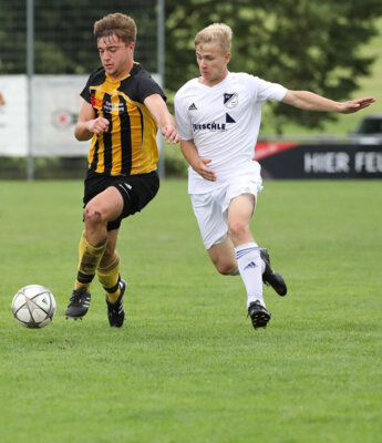 Bild: Thomas Warnack/Schwäbische.de (Bild vergrößern)