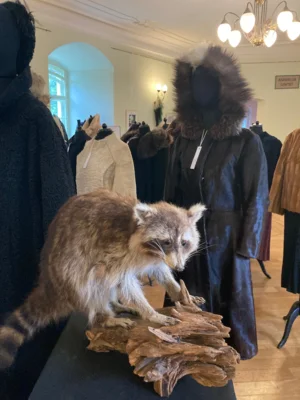 Blick in die Ausstellung