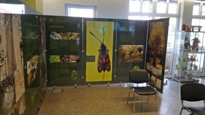Veranstaltung: Wanderausstellung "Gipskarst S&uuml;dharz &ndash; Artenvielfalt erhalten und erleben&ldquo; 03.08. – 31.10.2026