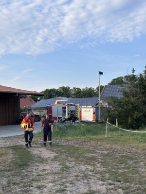 Foto vom Album: 