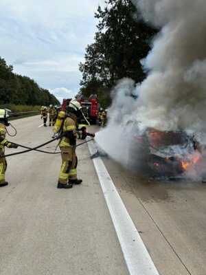  Foto vom Album: 
