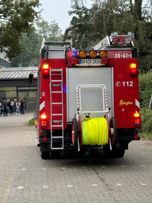  Foto vom Album: 