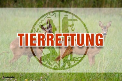Vorschaubild