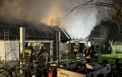 Foto vom Album: