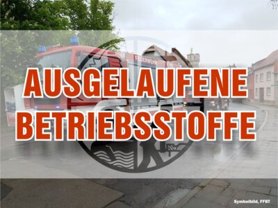 Foto vom Album: