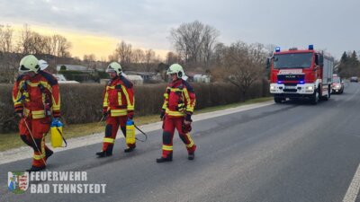 Foto vom Album: