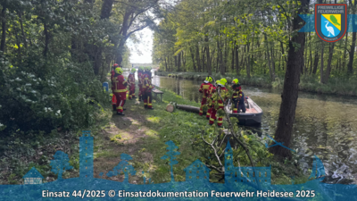 Foto vom Album: