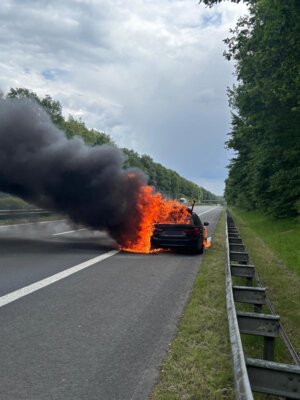  Foto vom Album: 