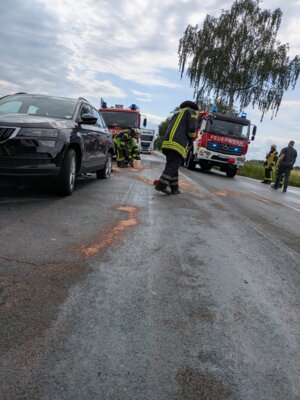 Foto vom Album: