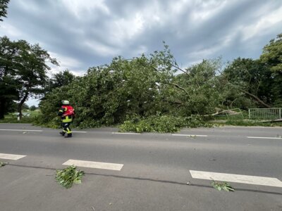 Vorschaubild
