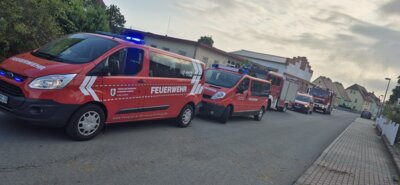 Foto vom Album: