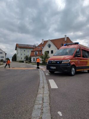 Foto vom Album: