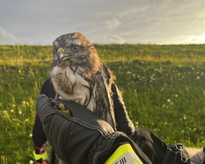  Foto vom Album: 