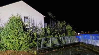 Vorschaubild