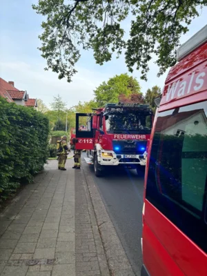Vorschaubild
