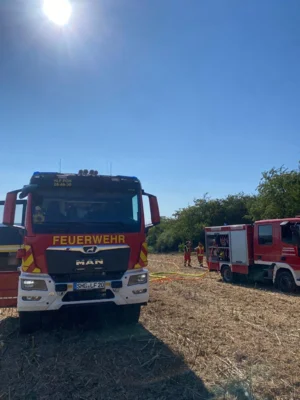 Foto vom Album: 
