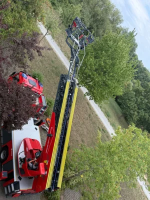  Foto vom Album: 