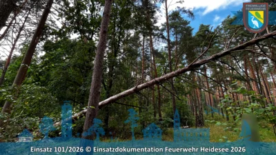 Foto vom Album: 