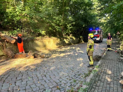  Foto vom Album: 