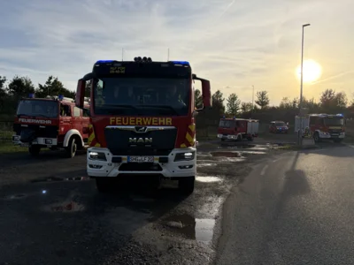  Foto vom Album: 