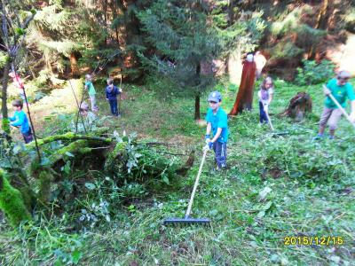 Foto des Albums: Waldschulheim Wahlsmühle Klasse 3b