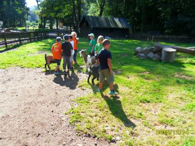 Foto des Albums: Waldschulheim Wahlsmühle Klasse 3b