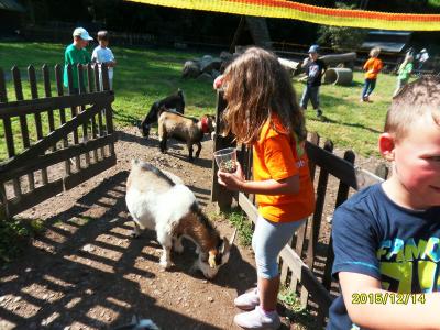 Foto des Albums: Waldschulheim Wahlsmühle Klasse 3b