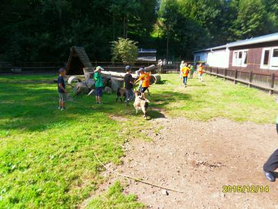 Foto des Albums: Waldschulheim Wahlsmühle Klasse 3b