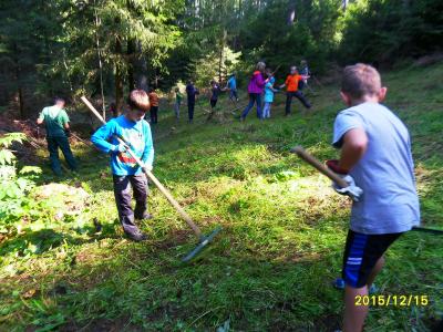Foto des Albums: Waldschulheim Wahlsmühle Klasse 3b