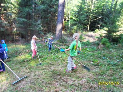 Foto des Albums: Waldschulheim Wahlsmühle Klasse 3b