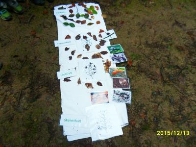 Foto des Albums: Waldschulheim Wahlsmühle Klasse 3b