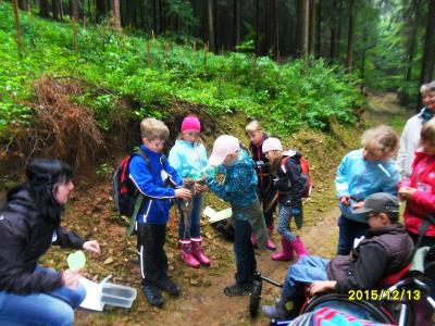 Foto des Albums: Waldschulheim Wahlsmühle Klasse 3b
