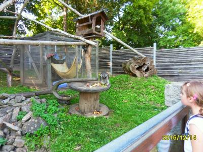 Foto des Albums: Waldschulheim Wahlsmühle Klasse 3b