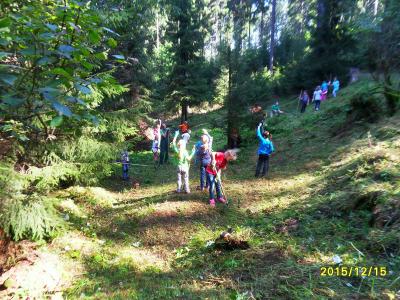 Foto des Albums: Waldschulheim Wahlsmühle Klasse 3b